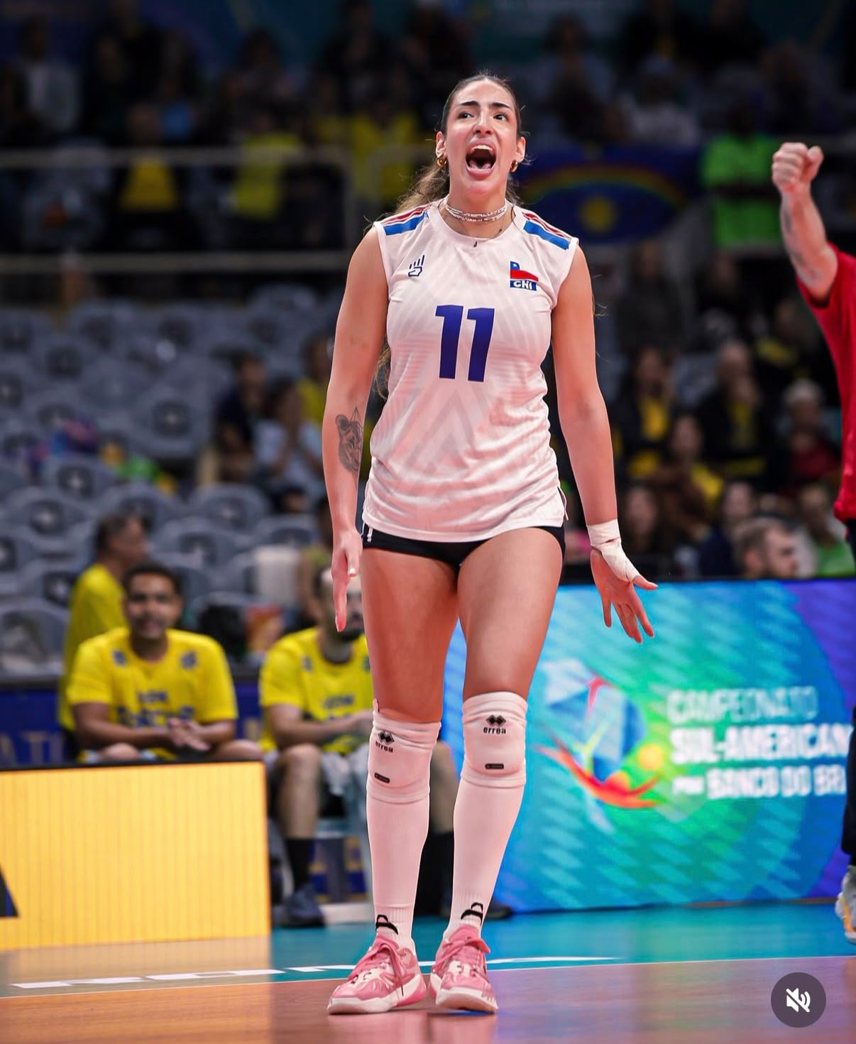 Chile ha sumado una victoria en el Campeonato Sudamericana de vóley previo a su enfrentamiento con Perú.