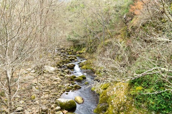 Camino del río Mao en
