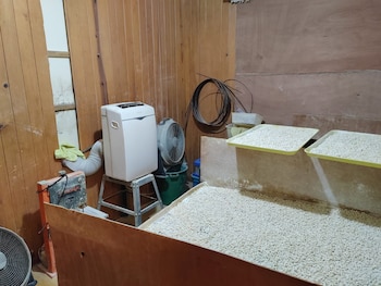 Las diligencias en San José Pinula y Santa Catarina Pinula permitieron ubicar cocaína, crack, fusiles, automóviles y efectivo, mientras la Subdirección de Análisis de Información Antinarcótica coordinó las pesquisas del lunes (Foto cortesía PNC)