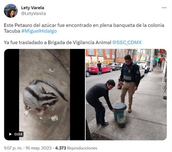 La persona encargada de compartir
