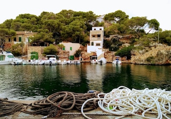 Cuerdas marrones y blancas en el muelle en primer plano. Barcos amarrados en un puerto natural con edificios y densa vegetación en la costa rocosa
