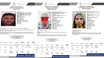 Cuatro vehículos en los que