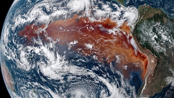 El Niño alcanza su fase más intensa: las alertas de la OEA para América y el impacto en Argentina