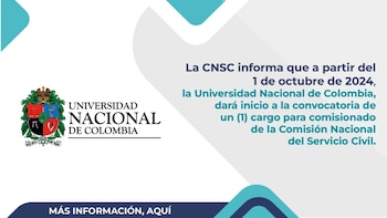 El propósito del cargo es