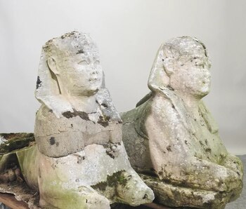 Pese a su mala condición,