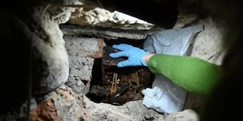 El hallazgo arroja nueva luz