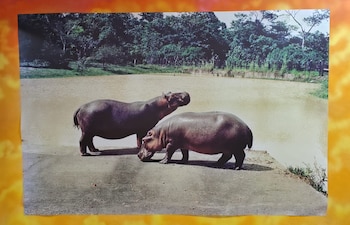 Esta es la primera fotografía