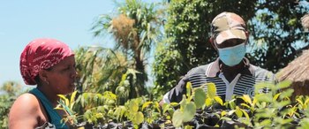 En Lorica, Córdoba, se adelanta