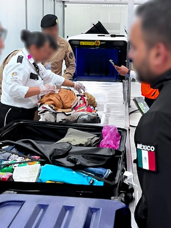 Foto: X: @PROFEPA_Mx