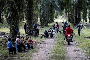Honduras registra 77 disputas ativas por terras, recursos naturais e direitos territoriais em 13 dos 18 departamentos, segundo o relatório Cespad.