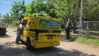 Ocho estudiantes terminaron intoxicados en El Salvador luego de consumir semillas
