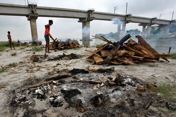 Foto del viernes de un