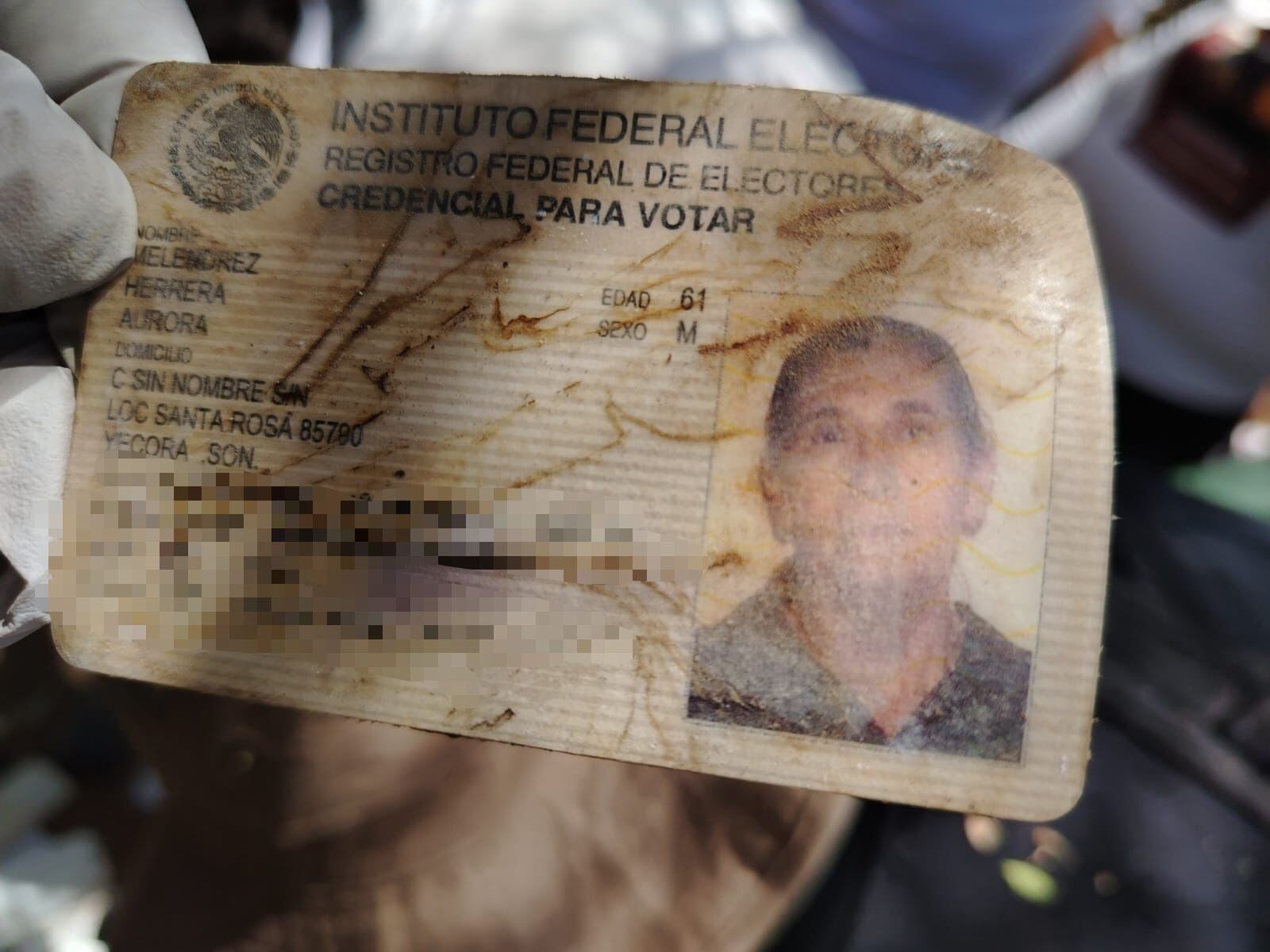 Madres buscadoras de Sonora hallan 6 cuerpos con identificaciones; “era un panteón clandestino” - Infobae