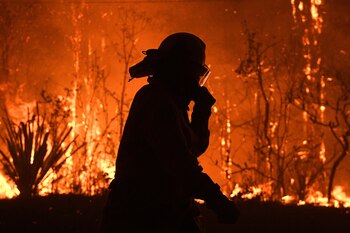 Un bombero australiano en Mangrove