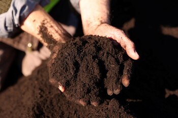 Las prácticas sostenibles son necesarias para evitar la degradación de los suelos (REUTERS/Brittany Hosea-Small)