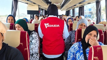 Un total de 304 trabajadoras de Marruecos y Guatemala se incorporan a la campaña de plantación con Freshuelva