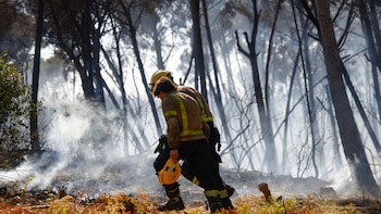 A partir de esta medianoche, 219 municipios y 24 comarcas de Cataluña activarán el nivel 4 del Plan Alfa por peligro extremo de incendio forestal: actualmente hay nueve activos