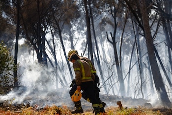 Ya afecta una superficie aproximada 7 hectáreas, mayoritariamente forestales, según datos de los Agentes Rurales.