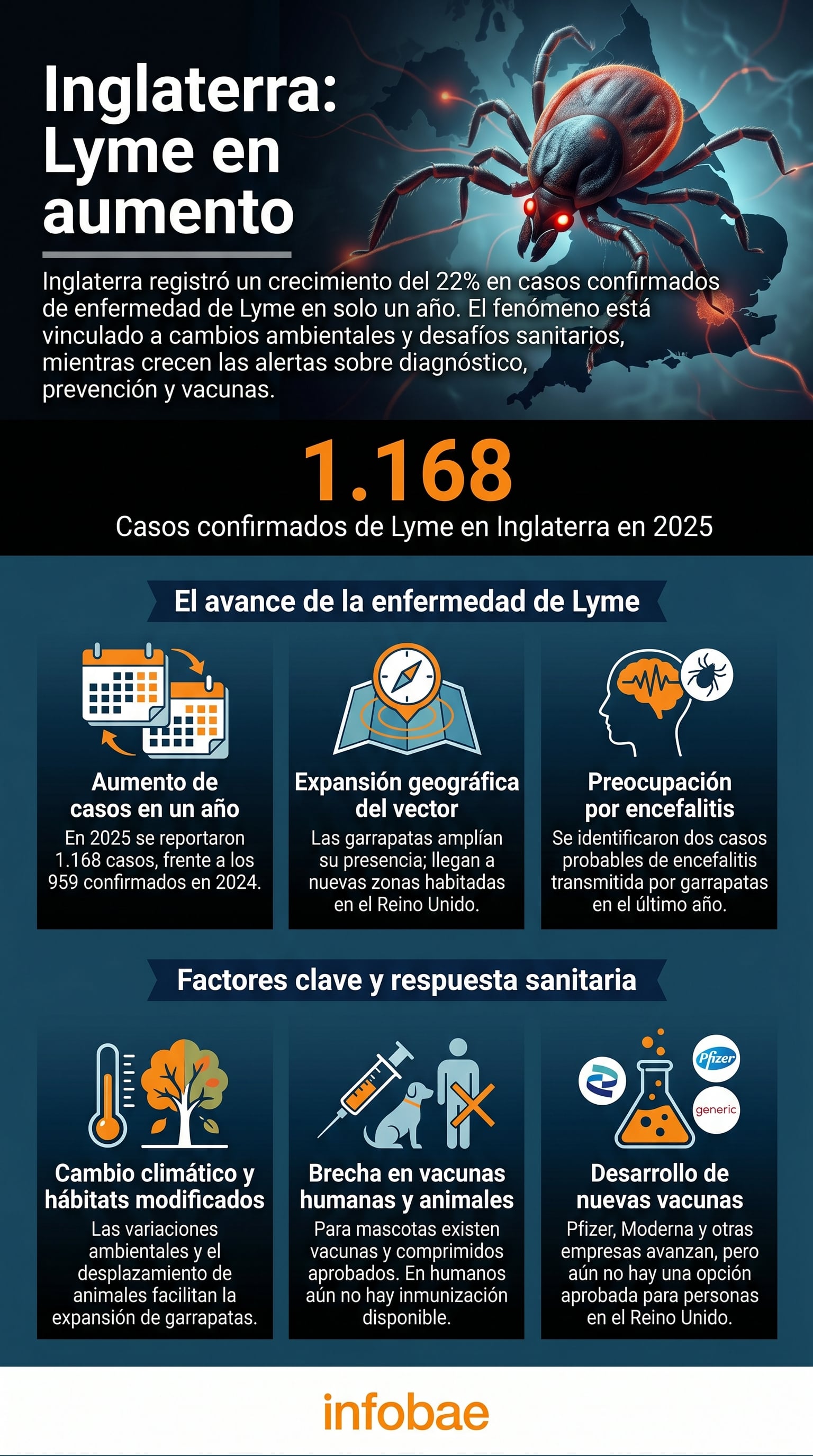 Inglaterra registró un aumento del 22% en los casos confirmados de enfermedad de Lyme en 2025, llegando a 1.168, fenómeno vinculado a cambios ambientales y desafíos sanitarios que generan preocupación. (Imagen Ilustrativa Infobae)