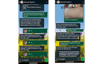 Copilot en WhatsApp no comprende videos ni audios. (WhatsApp)