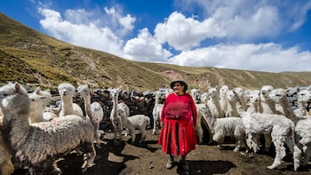 Los productores deberán prevenir granizadas, heladas y vientos fuertes, fenómenos que podrían dañar los cultivos.