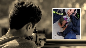 Los “Suizos”: otros casos en