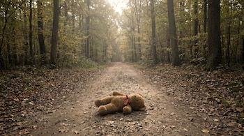 Un osito de peluche marrón con un lazo rojo está acostado boca abajo en un camino de tierra cubierto de hojas secas dentro de un bosque.