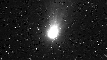 Revelan una imagen del cometa