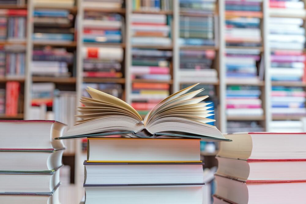 Impulso a la industria editorial regional: El proyecto «Libros del Mercosur» busca democratizar el acceso a la lectura