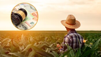 Imagen de archivo de un