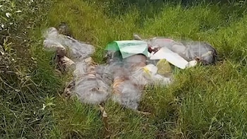multihomicidio en Chiapas