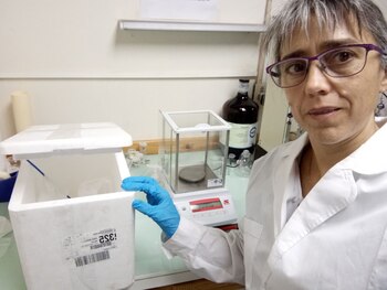 Adriana Serquis preside la Comisión