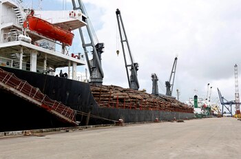 Las exportadoras podrán presentar una