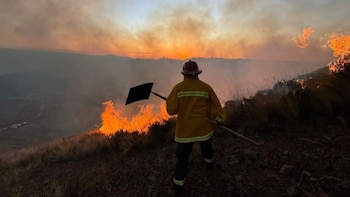 Senamhi advierte riesgo extremo de incendios forestales en ocho regiones durante toda la semana