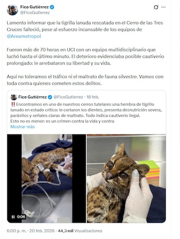 Gutiérrez afirmó que irán tras