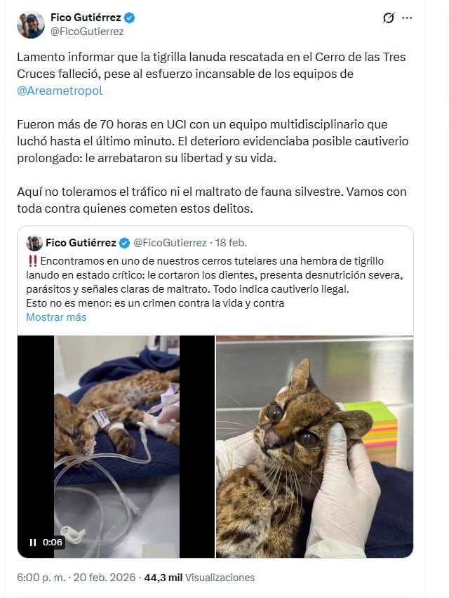 Gutiérrez afirmó que irán tras las personas que cometan delitos en contra de la fauna silvestre en el Valle de Aburrá - crédito @FicoGutierrez/X