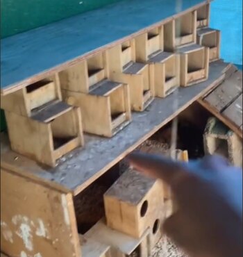 Con el fin de resguardar