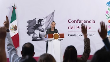 Sheinbaum desconoce investigación contra Esteban Villegas y Samuel García tras detención de empresario ligado a huachicol