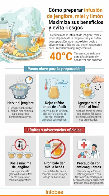 Infografía ilustrada que explica cómo preparar infusión de jengibre, miel y limón, mostrando ingredientes, pasos y advertencias médicas con iconos.