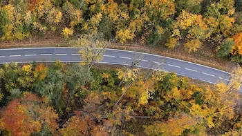 Vista aérea de una carretera de dos carriles con marcas blancas, serpenteando entre un bosque denso con árboles de hojas amarillas, naranjas y verdes en otoño