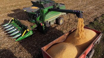 Retenciones: ¿cuánto aporta el campo y cuánto le queda al productor por sus granos?