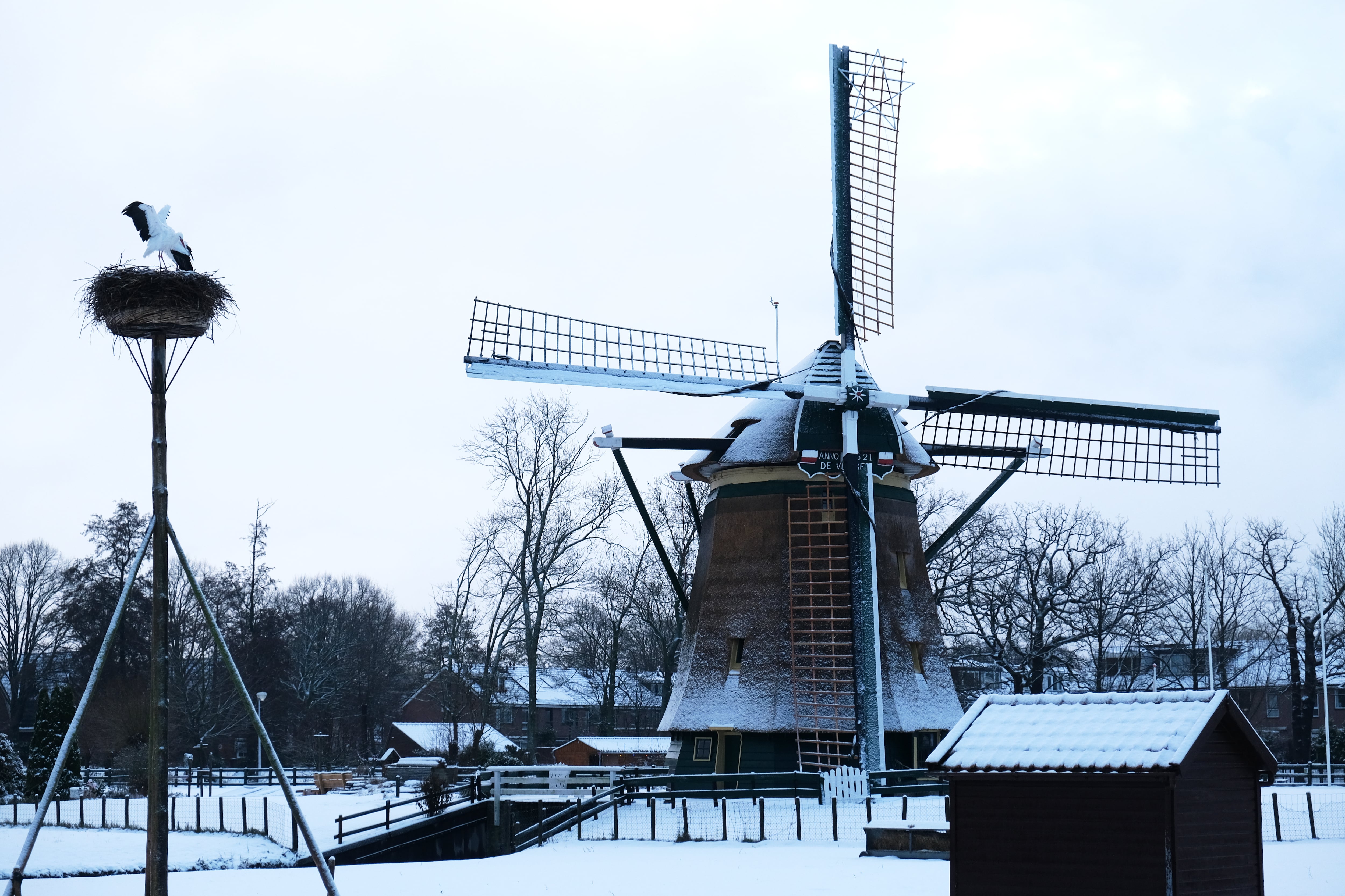 El molino de viento De Vlieger se alza sobre un campo nevado en la ciudad de Voorburg, a las afueras de La Haya, Países Bajos, mientras la nieve y el hielo cubren el país el martes 6 de enero de 2026. (Foto AP/Mike Corder)