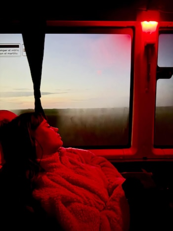 La gran mayoría de las