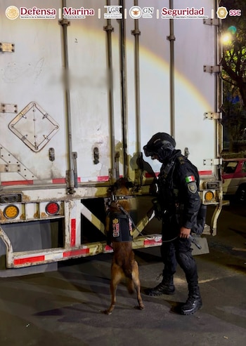 Detienen a cuatro personas con más de una tonelada de marihuana escondida en cajas de huevo