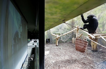 Para desmentir que la violencia