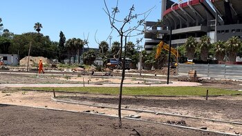 Se subastó un nuevo lote