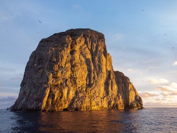 Malpelo es una isla remota