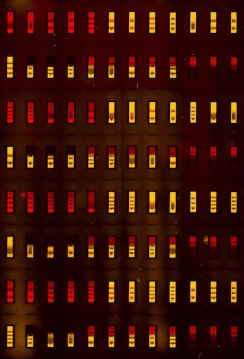 Una imagen de microscopio de