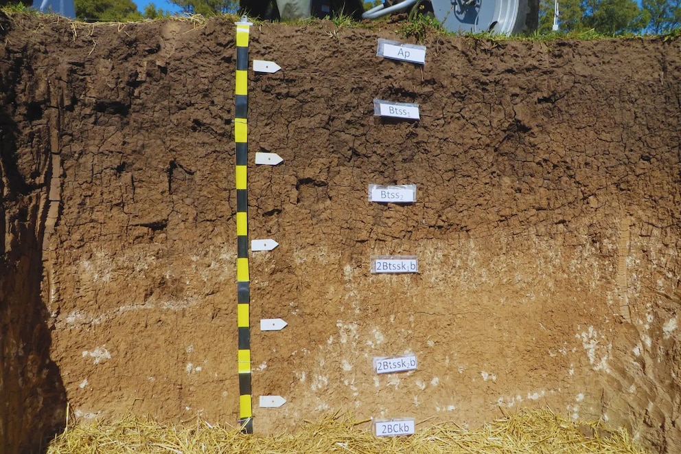 SisINTA: el mapa digital del INTA que revela los secretos del suelo argentino