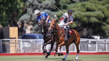 Facundo Fernández Llorente jugo en